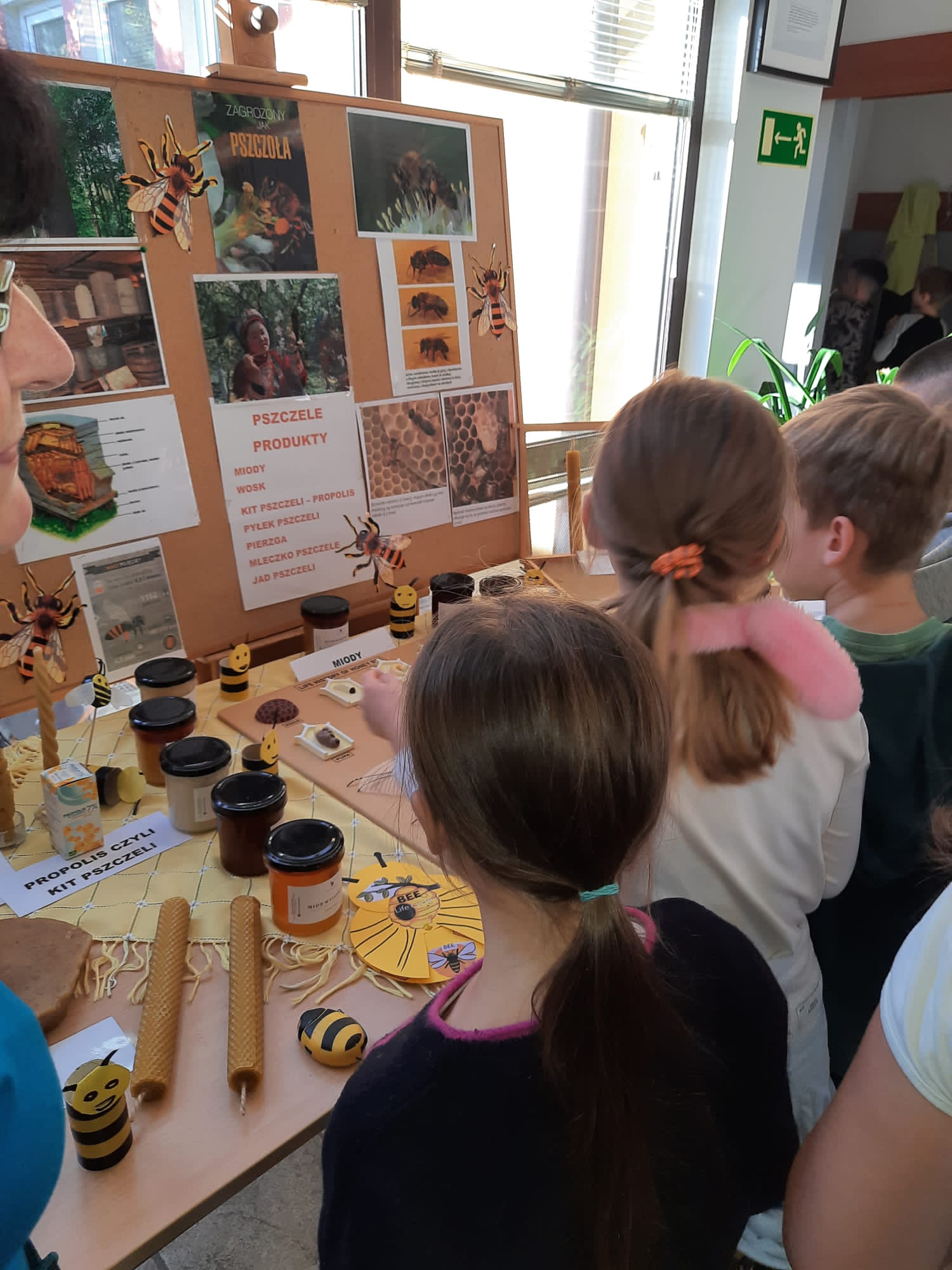 Dzieci oglądają wystawę poświęconą pszczołom, gdzie zobaczyły m.in. miody pozyskiwane z różnych gatunków roślin, wosk pszczeli i wykonane z niego przedmioty, dawne narzędzia pszczelarskie.
