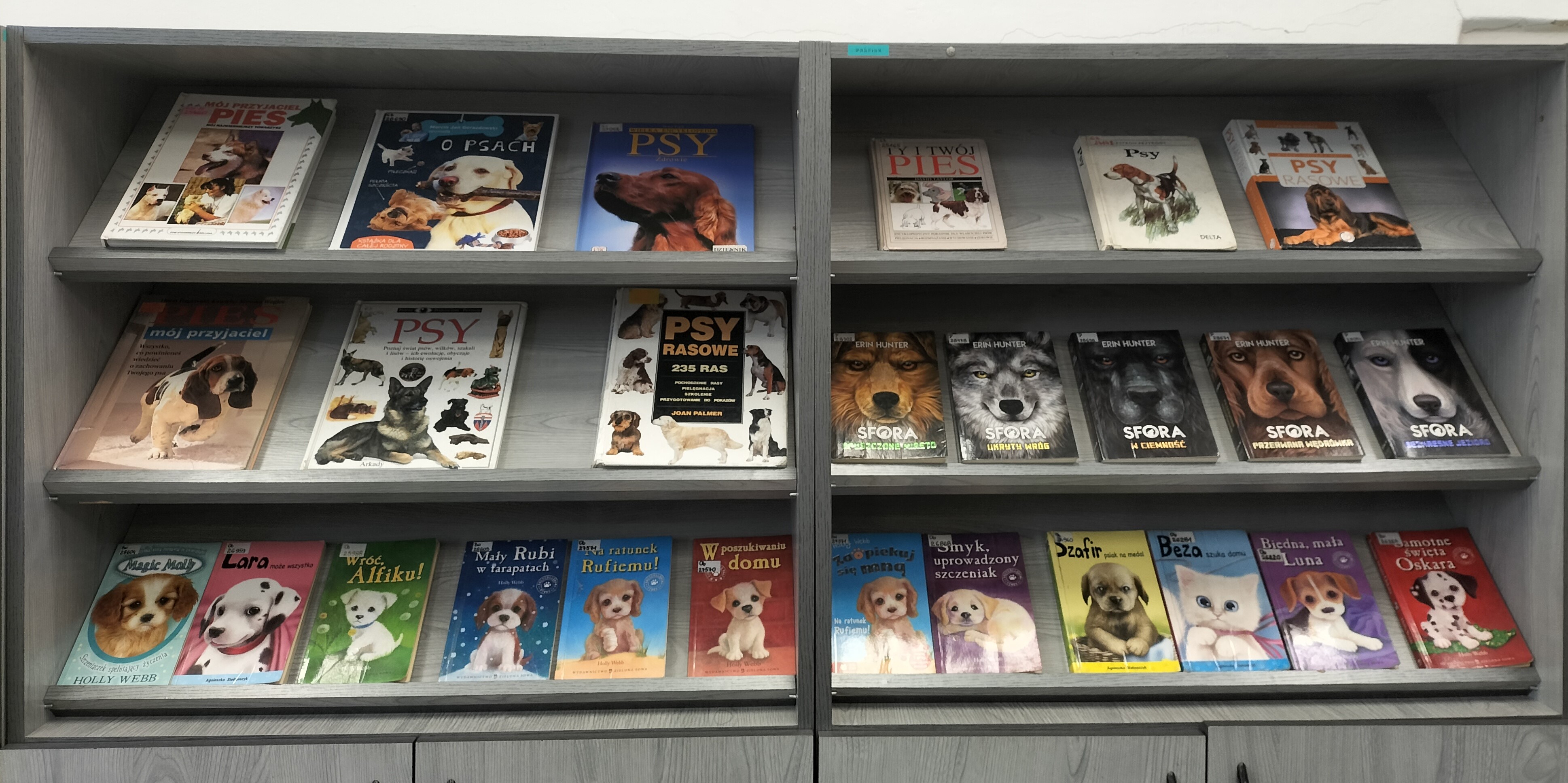 Wystawa najpopularniejszych serii książek o psach.