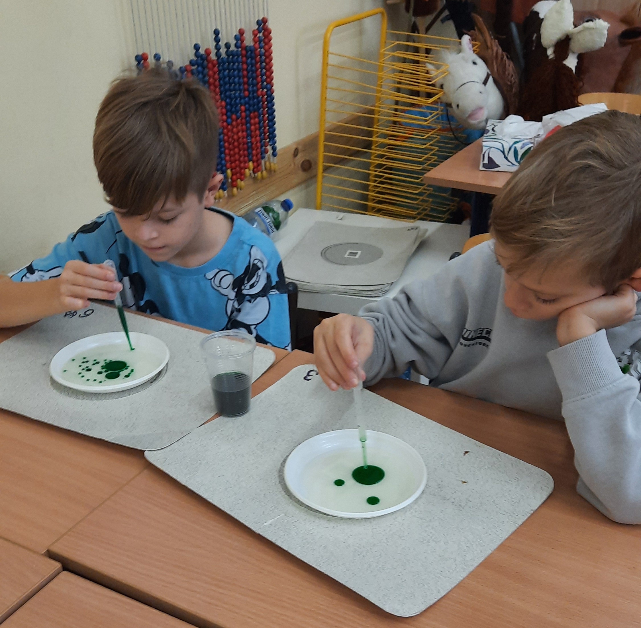 Dwóch uczniów wylewa wodę z barwnikiem na talerzyk z olejem za pomocą pipety.