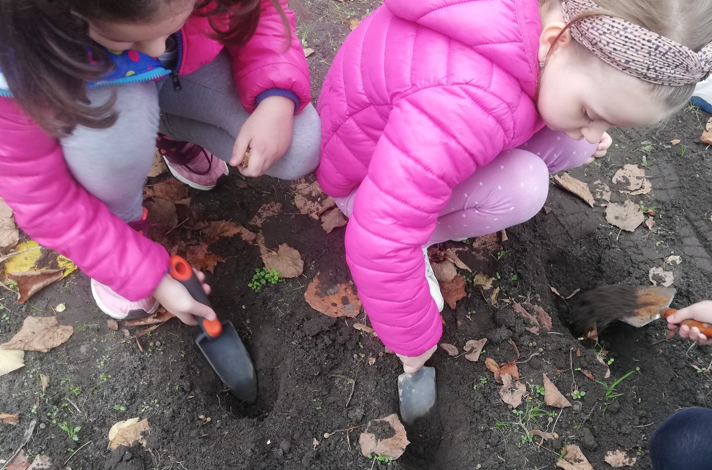 Dwie dziewczynki kucnęły na szkolnym trawniku. Łopatkami kopią dołki do wsadzenia cebulek.