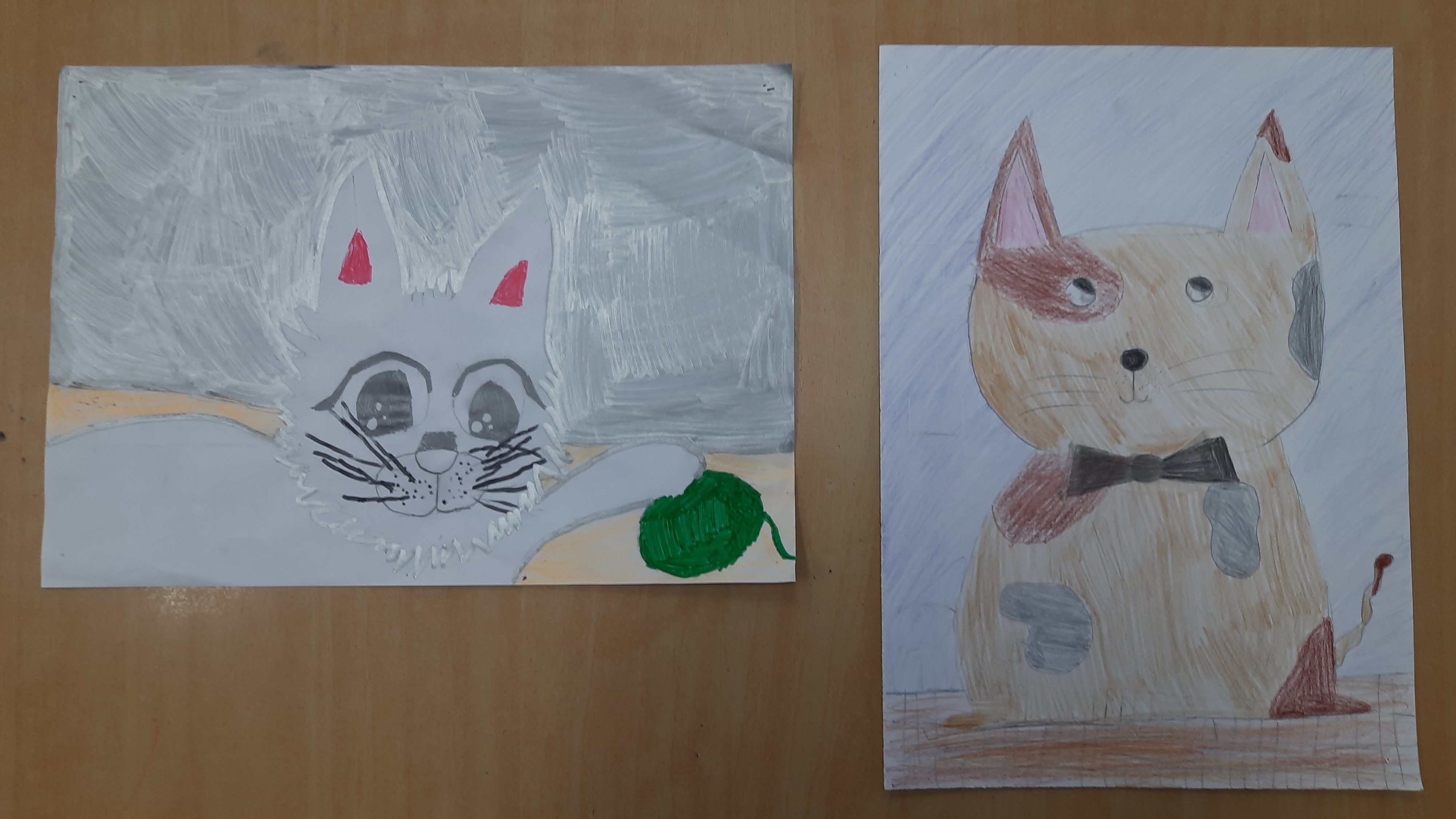 Rysunki kotów wykonane w ramach konkursu plastycznego.