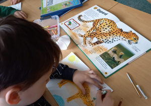 Zdjęcie przedstawiające chłopca rysującego geparda.