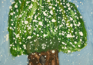 Drzewo o mocnym pniu i zielonej koronie na tle błękitnego nieba,całość przyprószona płatkami śniegu.