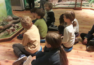 Uczniowie przyglądają się grzybom w czasie lekcji muzealnej.