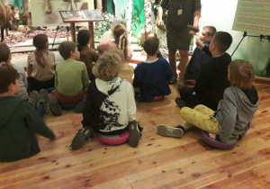 Uczniowie siedzą na podłodze przed makietą lasu. Rozpoznają modele grzybów.