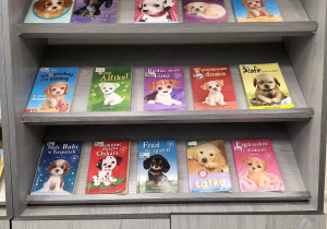 Wystawka książek o psach w bibliotece szkolnej.