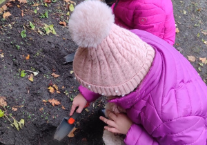 Dziewczynki kopią w ziemi dołek dla cebulki żonkila.