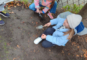 Dziewczynkiu narysowały na ziemi miejsce wsadzenia cebulki na rabacie.