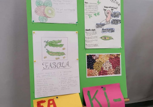 Zdjęcie 7 na 22