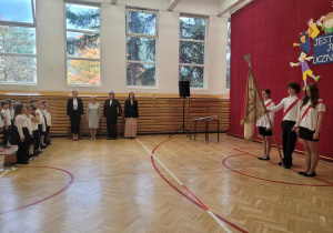 Zdjęcie 11 na 11
