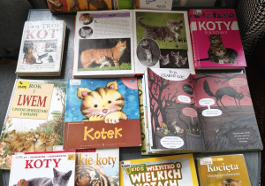 Na zdjęciu widać stolik z książkami w bibliotece, na którym przygotowano specjalną wystawkę poświęconą kotom.