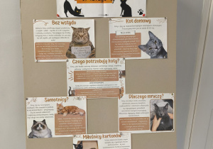 Na zdjęciu widać tablicę informacyjną ustawioną na drewnianej sztaludze. Na górze znajduje się plakat z napisem „Światowy Dzień Kota – 17 lutego”. Plakat jest ozdobiony rysunkami czarnych kotów siedzących i bawiących się wokół napisu. Pod plakatem umieszczono kilka kartek z ciekawostkami i informacjami o kotach. Każda z nich ma tytuł i ilustrację przedstawiającą kota. Można tam znaleźć m.in. informacje o tym, czym jest kot domowy, czego potrzebują koty, dlaczego mruczą oraz czy są samotnikami. Jedna z plansz opisuje także zamiłowanie kotów do kartonów, a inna wyjaśnia różne zachowania tych zwierząt.